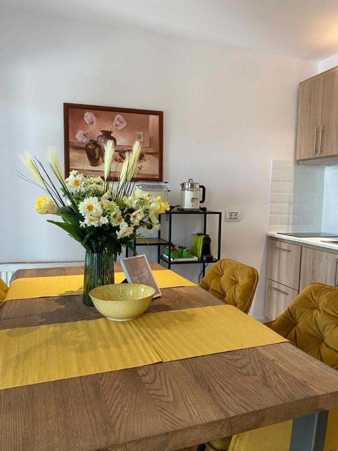 Apartaments Rîşnov 外观 照片
